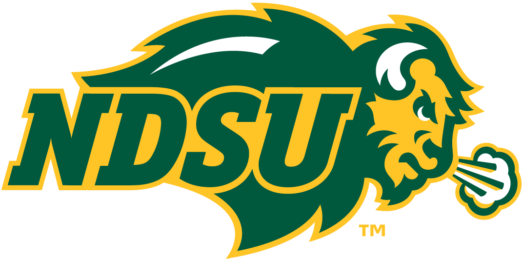 North Dakota State Bison 2012-Pres Primary Logo iron on paper